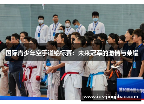 国际青少年空手道锦标赛：未来冠军的激情与荣耀