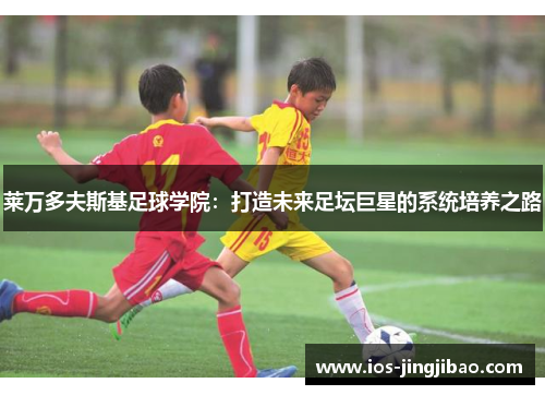 莱万多夫斯基足球学院：打造未来足坛巨星的系统培养之路