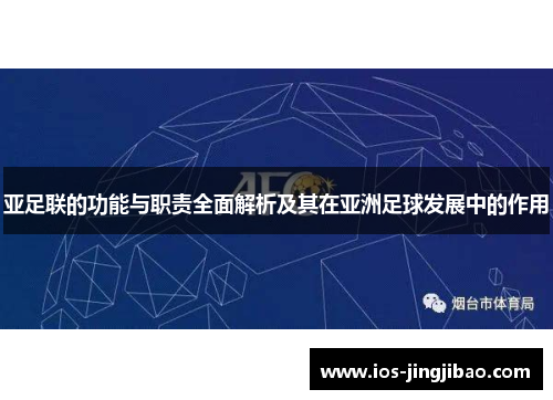 亚足联的功能与职责全面解析及其在亚洲足球发展中的作用