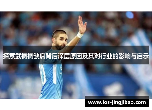 探索武桐桐缺席背后深层原因及其对行业的影响与启示