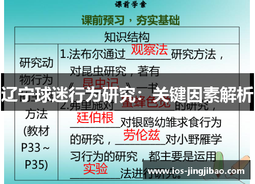 辽宁球迷行为研究：关键因素解析